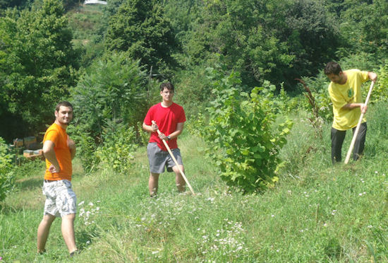 WorkCamp with ELIX in Italy