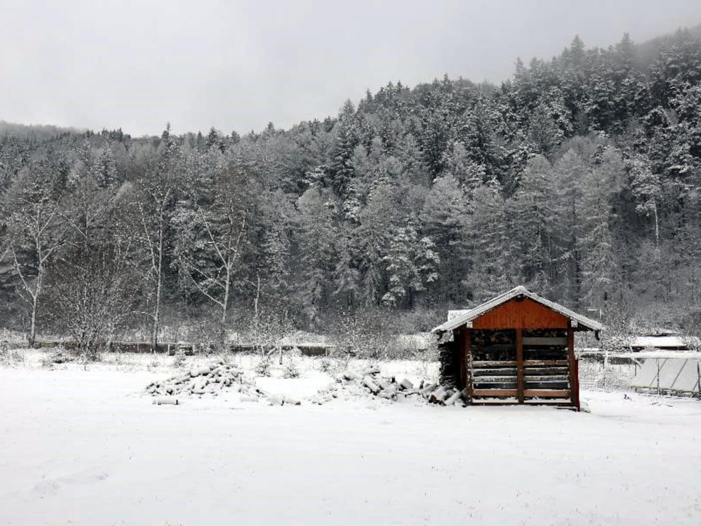 esc elix anthi 2019 2