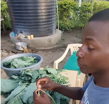 workcamp experience themistoklis kenya 2022 1