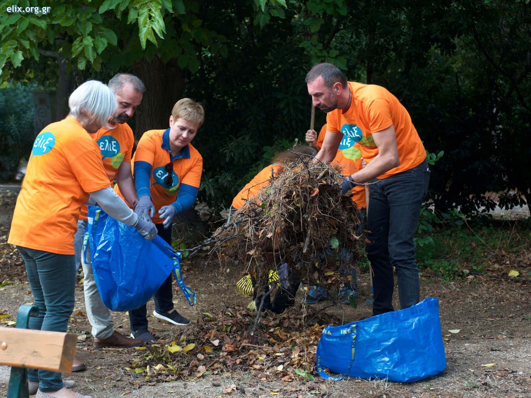 cleaning forest elix environment