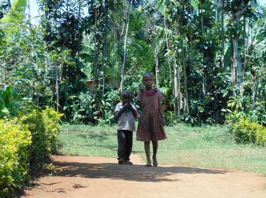 Πρόγραμμα Εθελοντικής Εργασίας με την ΕΛΙΞ στην Τανζανία