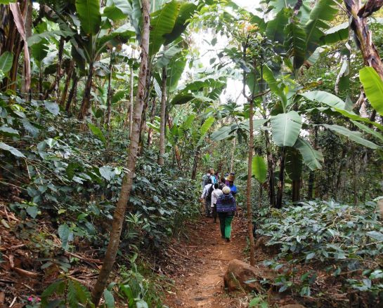 Πρόγραμμα Εθελοντικής Εργασίας με την ΕΛΙΞ στην Τανζανία